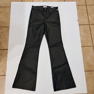 Sophia Vegara Flare Pants Size 4